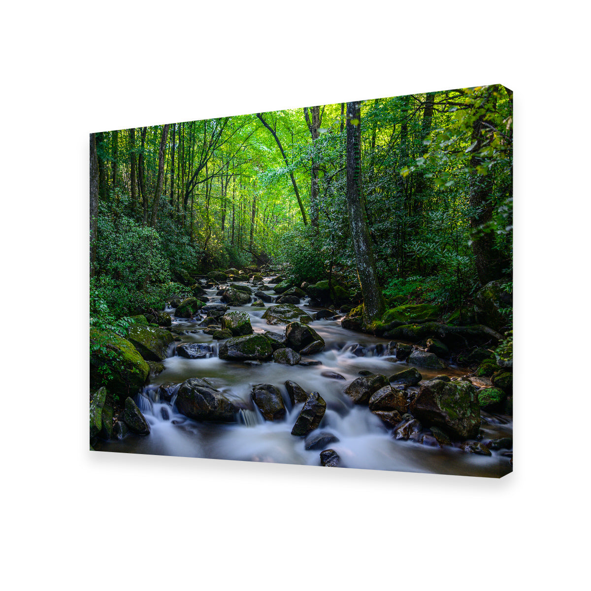 Mariatta South Carolina Wall Art