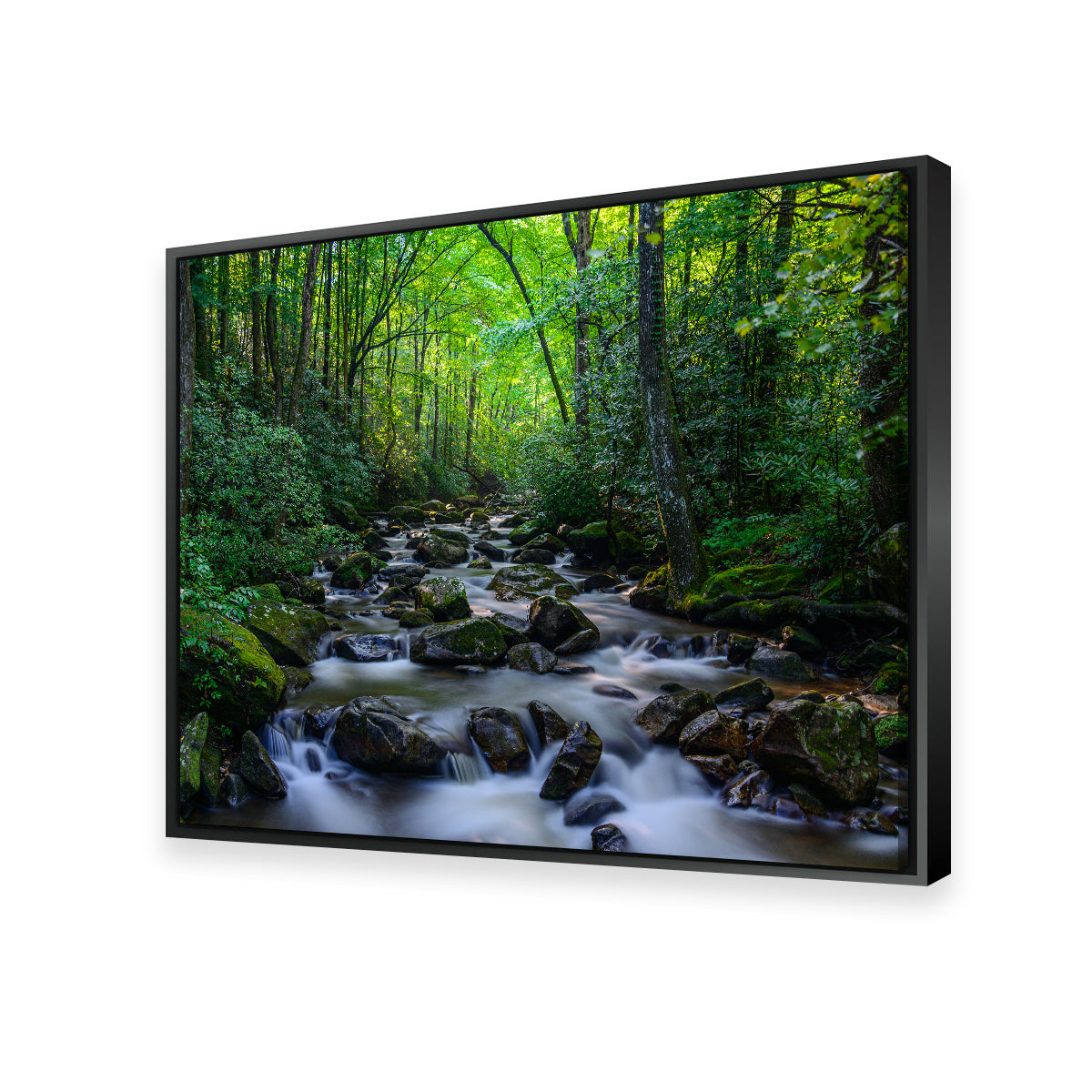 Mariatta South Carolina Wall Art