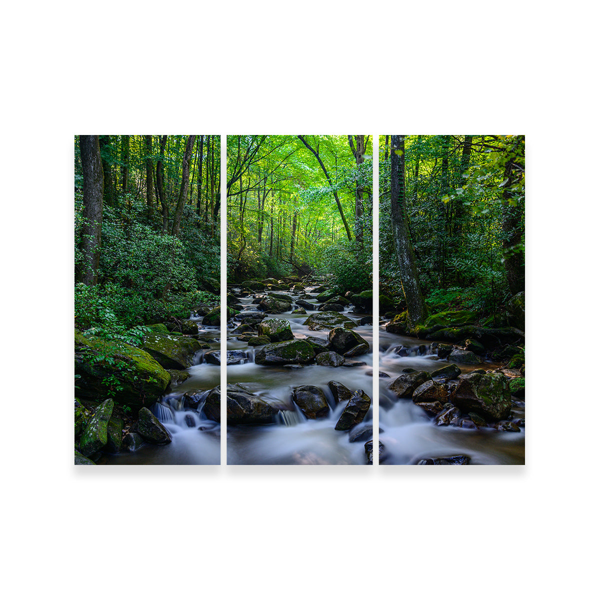 Mariatta South Carolina Wall Art