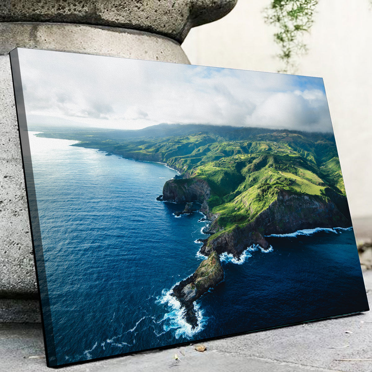 Maui Coast Wall Art