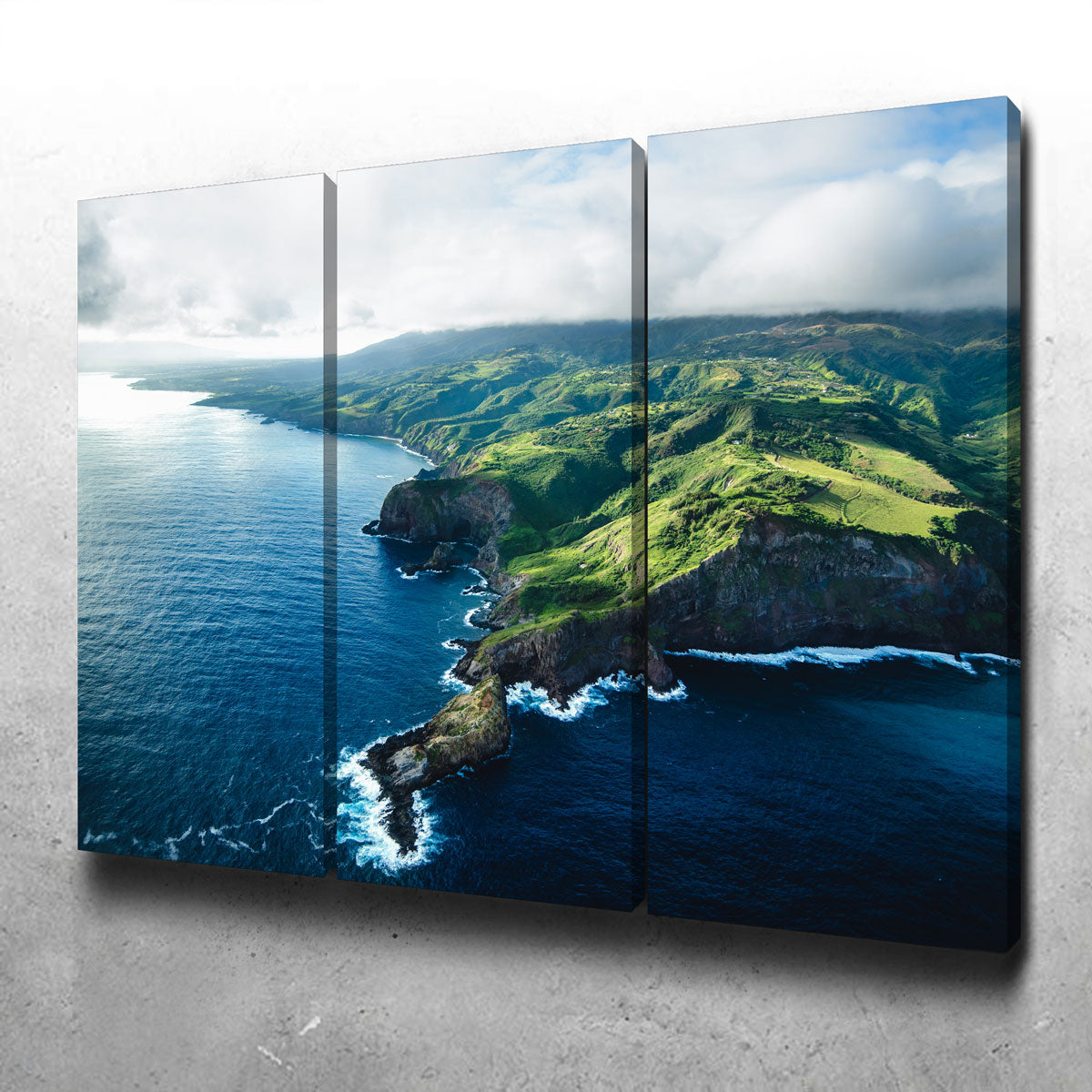 Maui Coast Wall Art