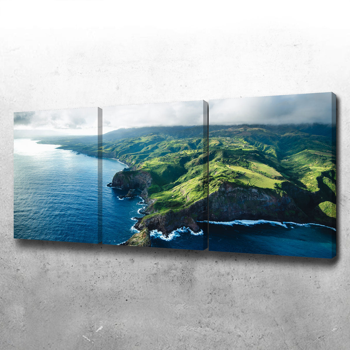 Maui Coast Wall Art