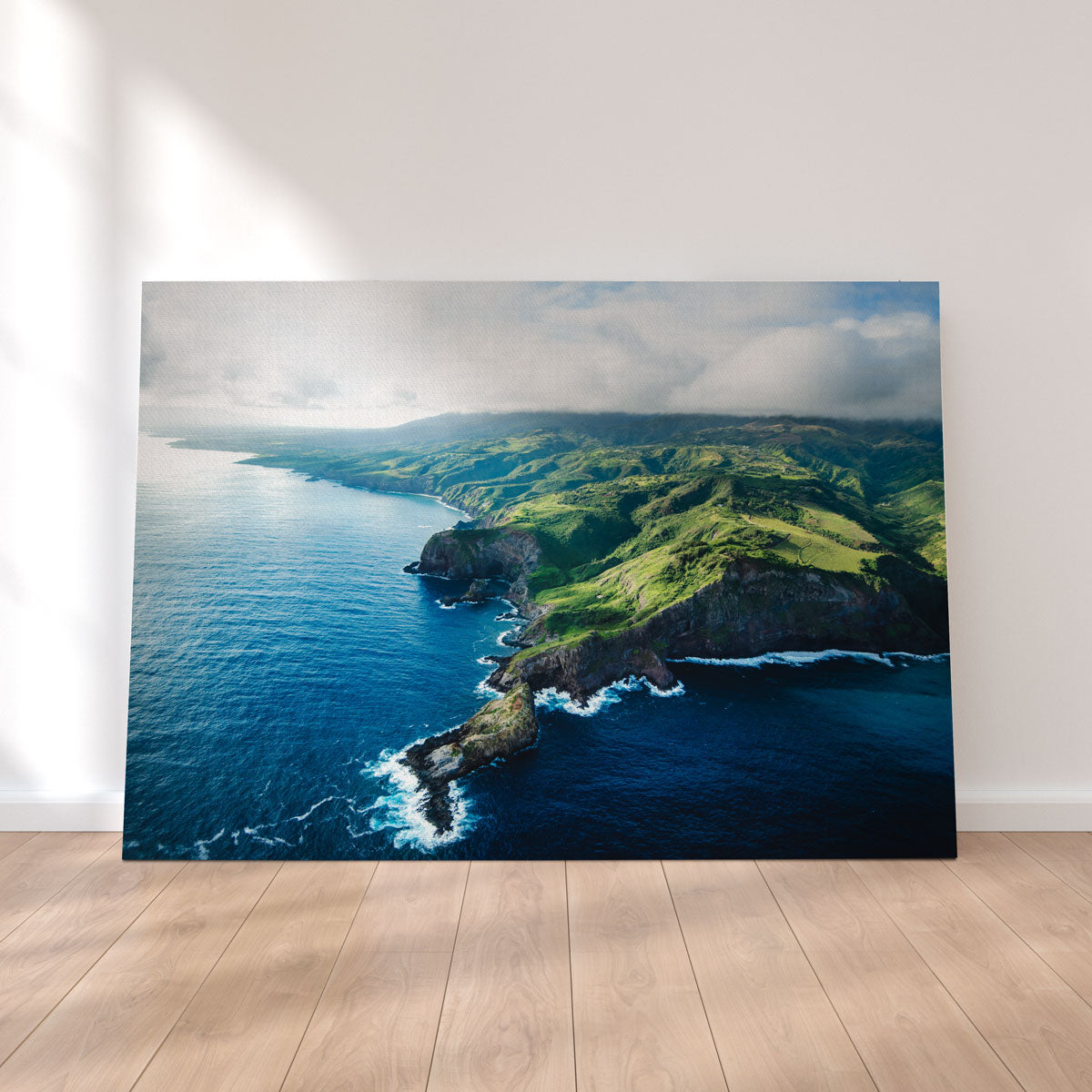 Maui Coast Wall Art