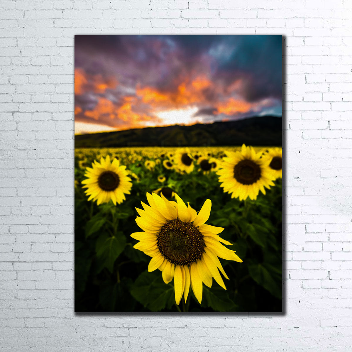 Maui Sunflowers Wall Art