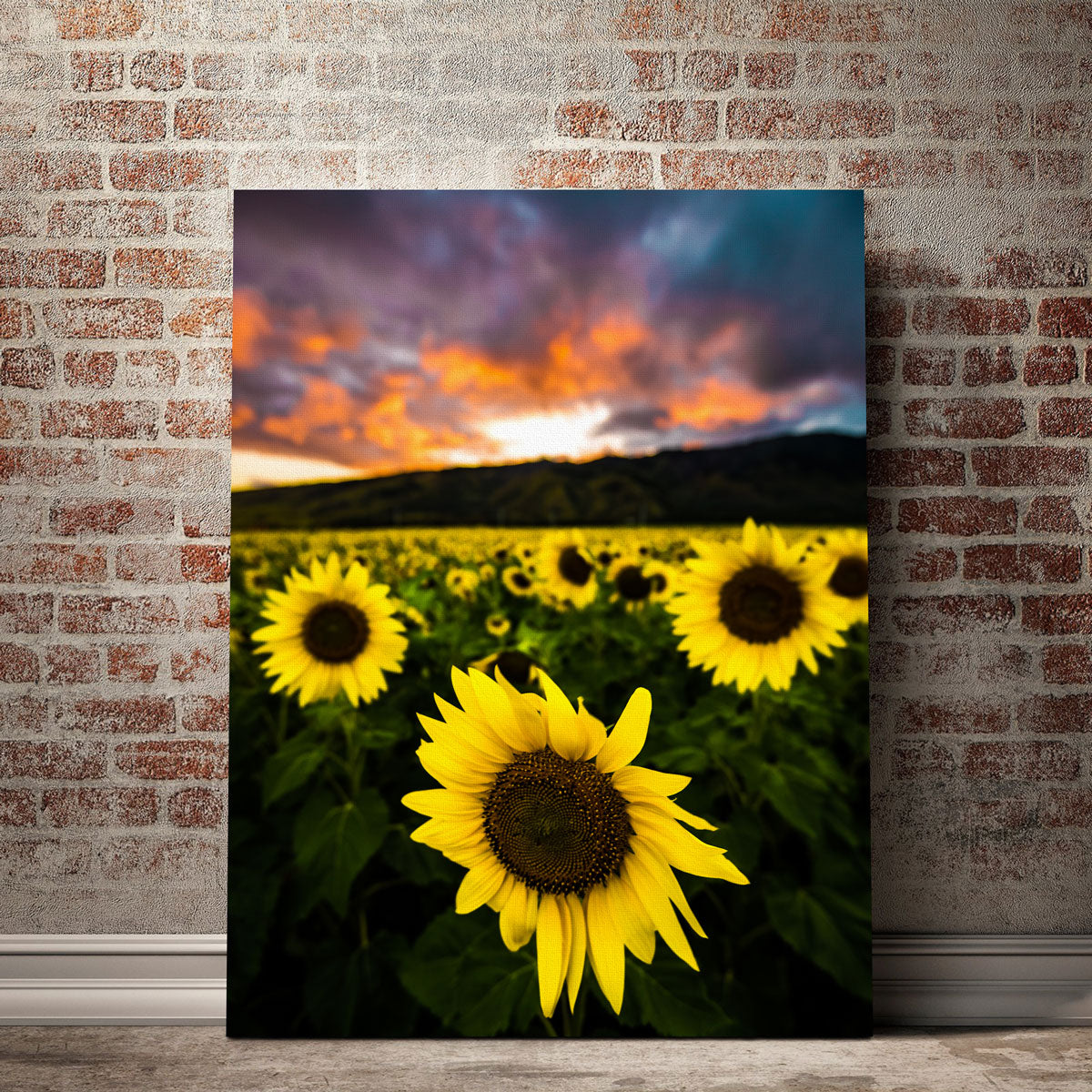 Maui Sunflowers Wall Art