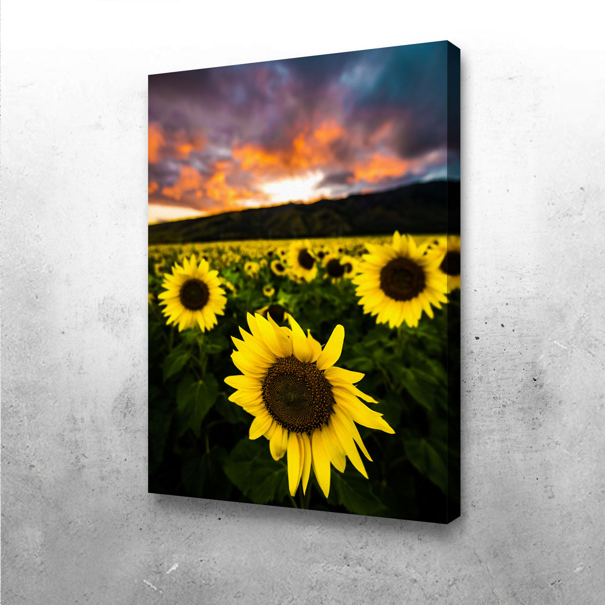 Maui Sunflowers Wall Art