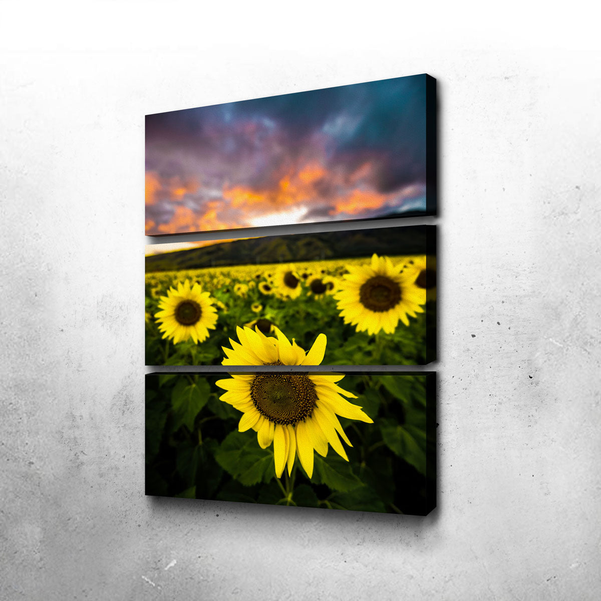 Maui Sunflowers Wall Art