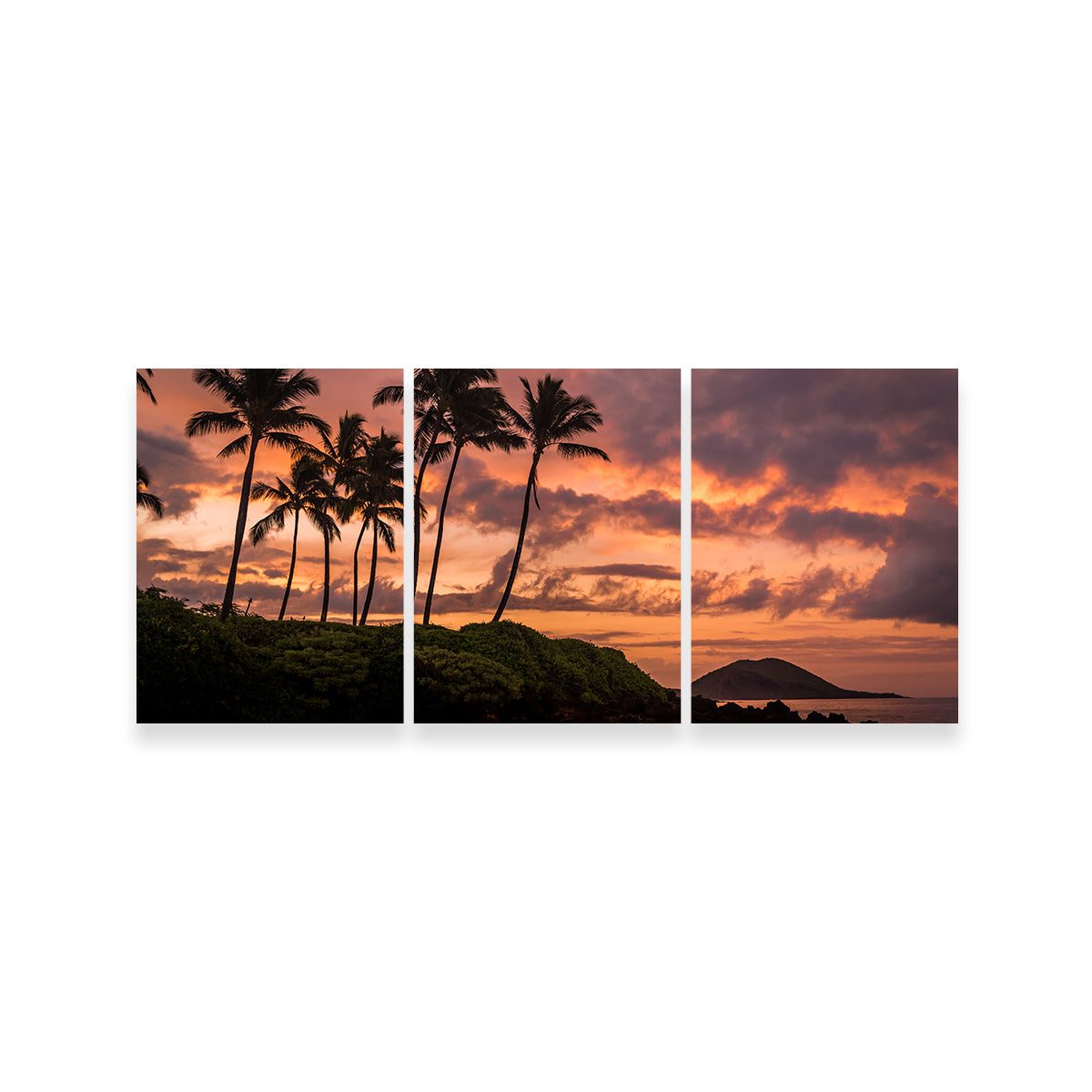 Maui Morning Wall Art