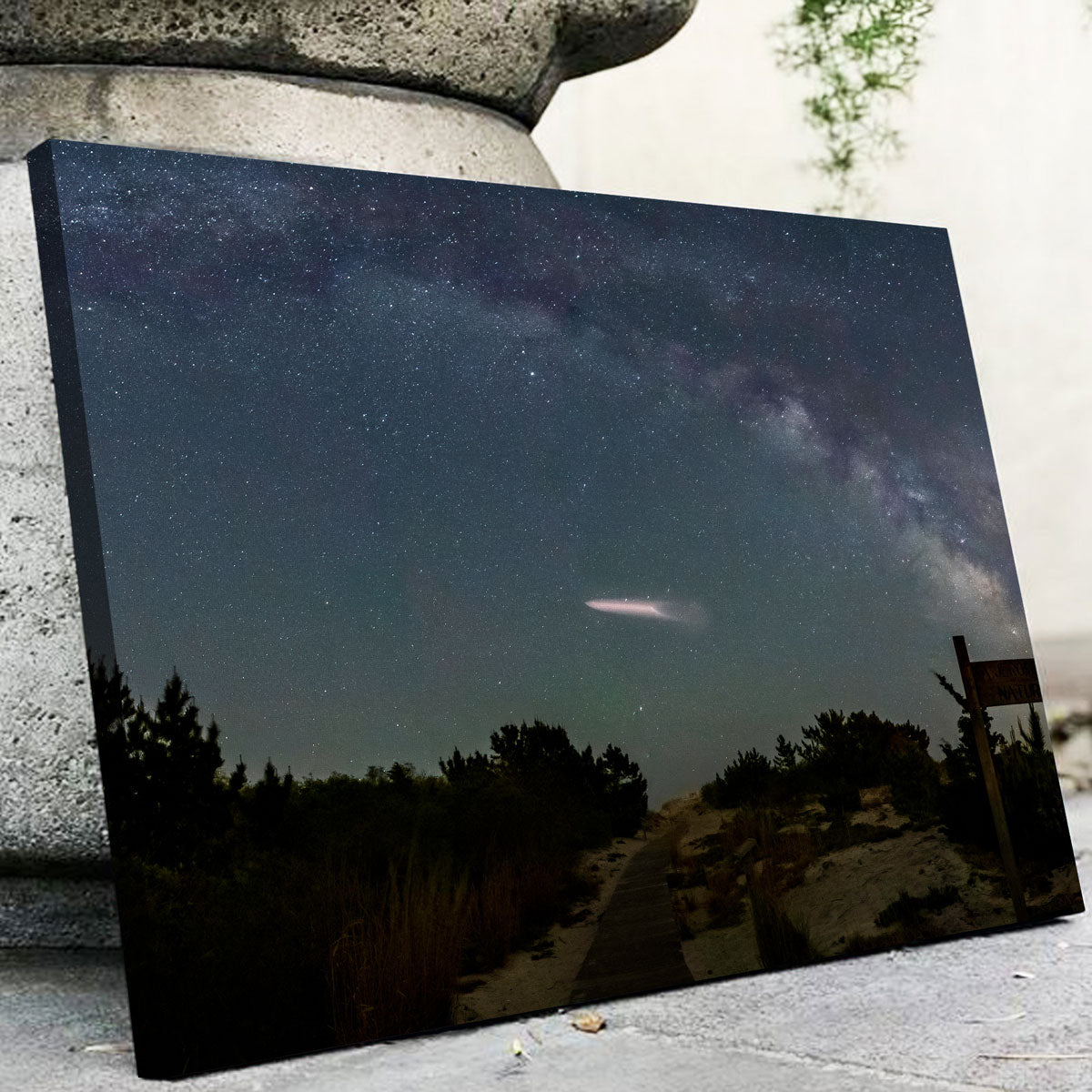 Milky Way and SpaceX Wall Art