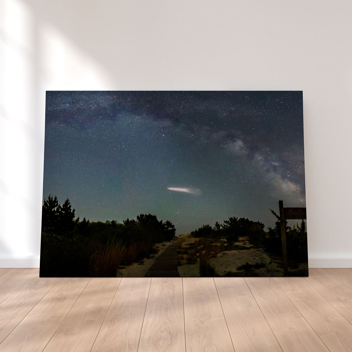 Milky Way and SpaceX Wall Art