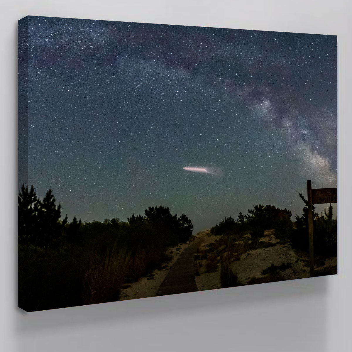 Milky Way and SpaceX Wall Art
