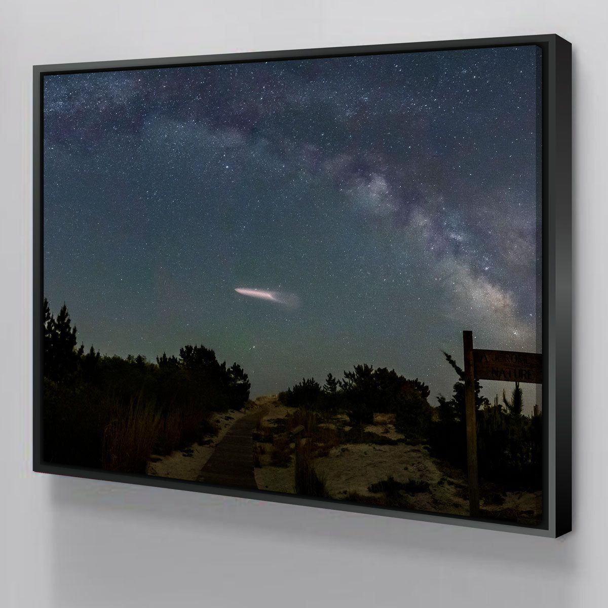 Milky Way and SpaceX Wall Art
