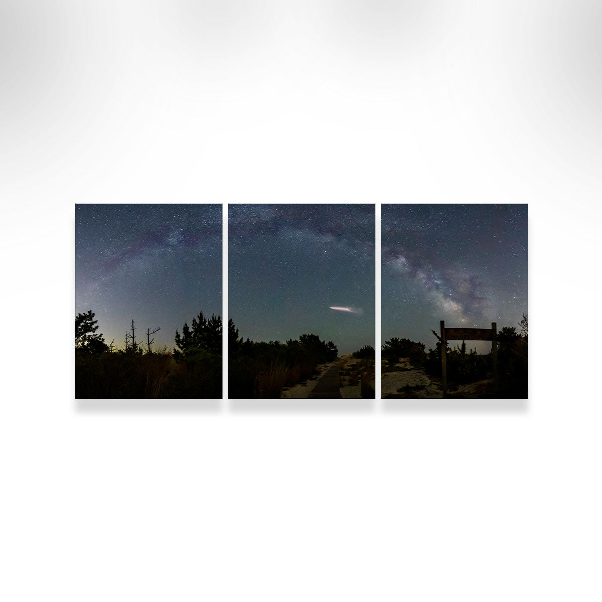 Milky Way and SpaceX Wall Art