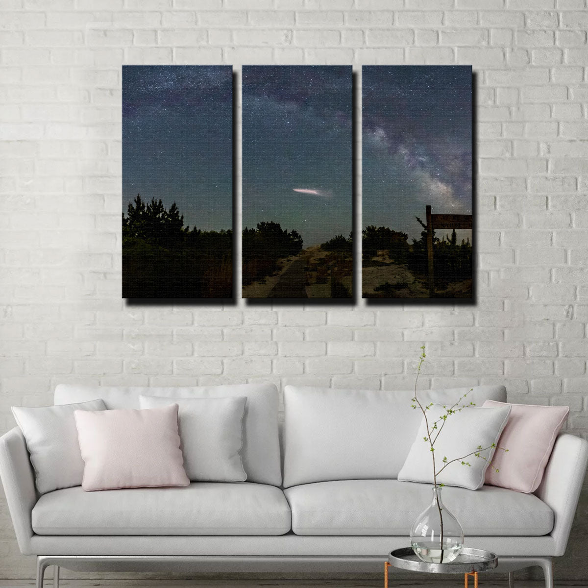 Milky Way and SpaceX Wall Art