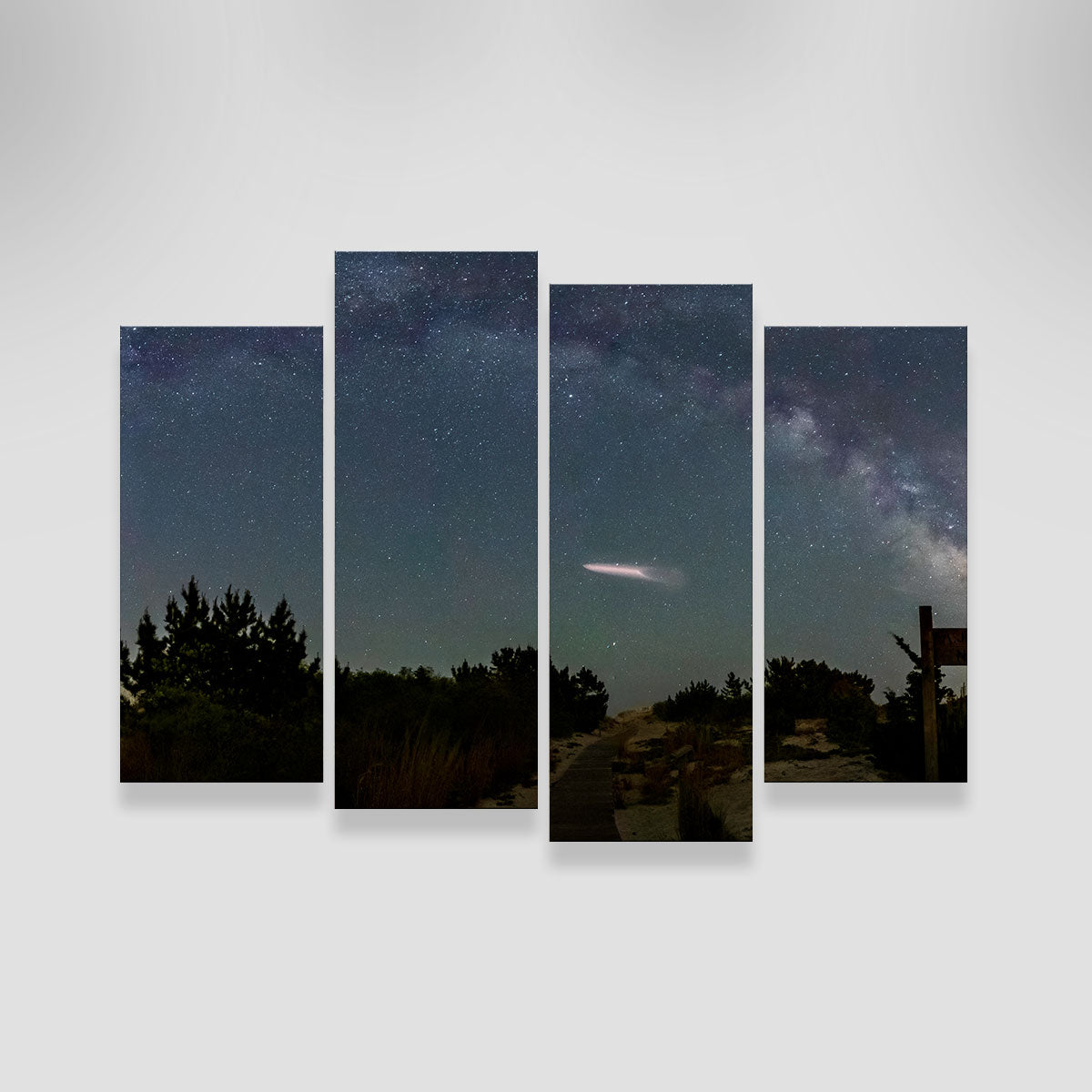 Milky Way and SpaceX Wall Art