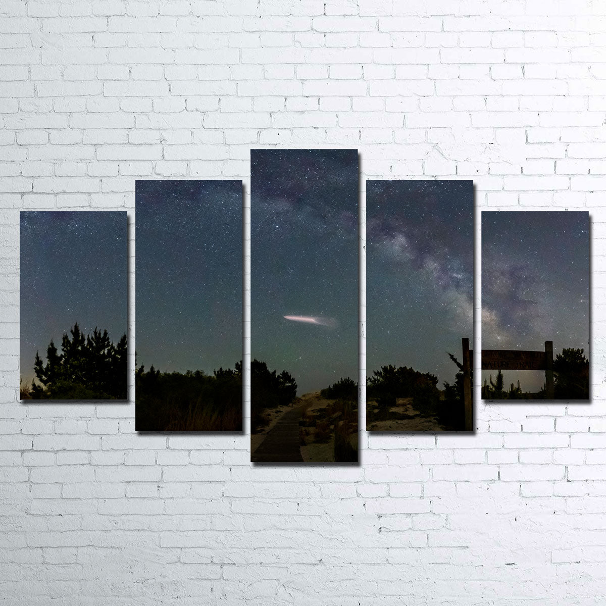 Milky Way and SpaceX Wall Art