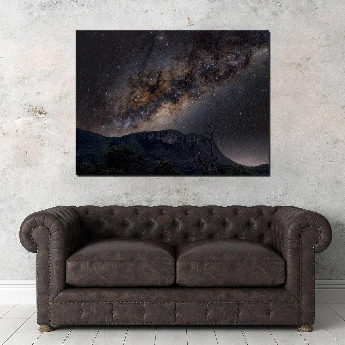 Milky Way over the Brazilian Cerrado Wall Art