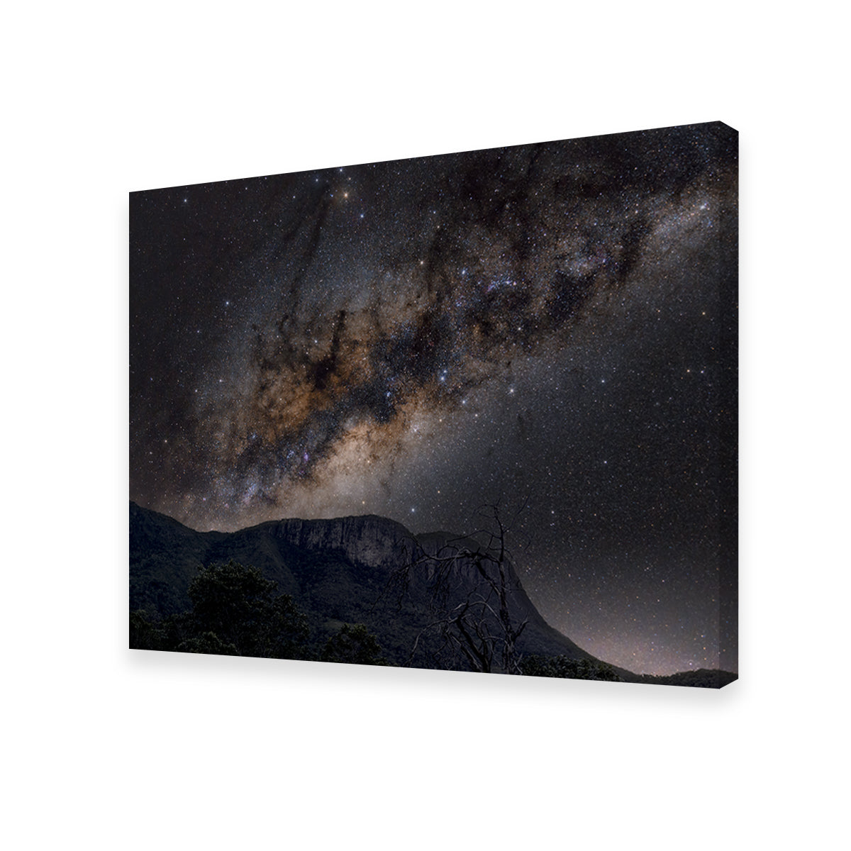 Milky Way over the Brazilian Cerrado Wall Art