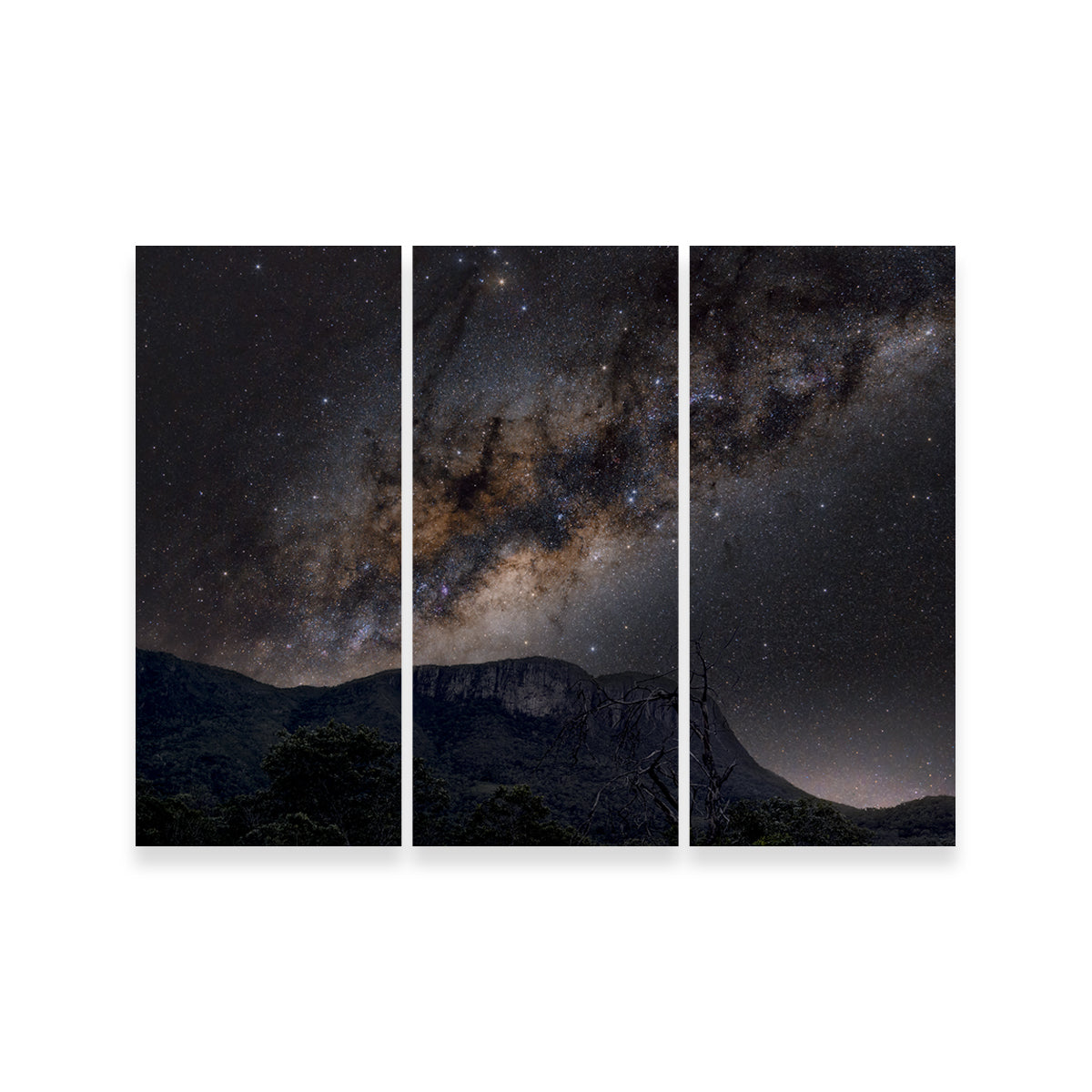 Milky Way over the Brazilian Cerrado Wall Art