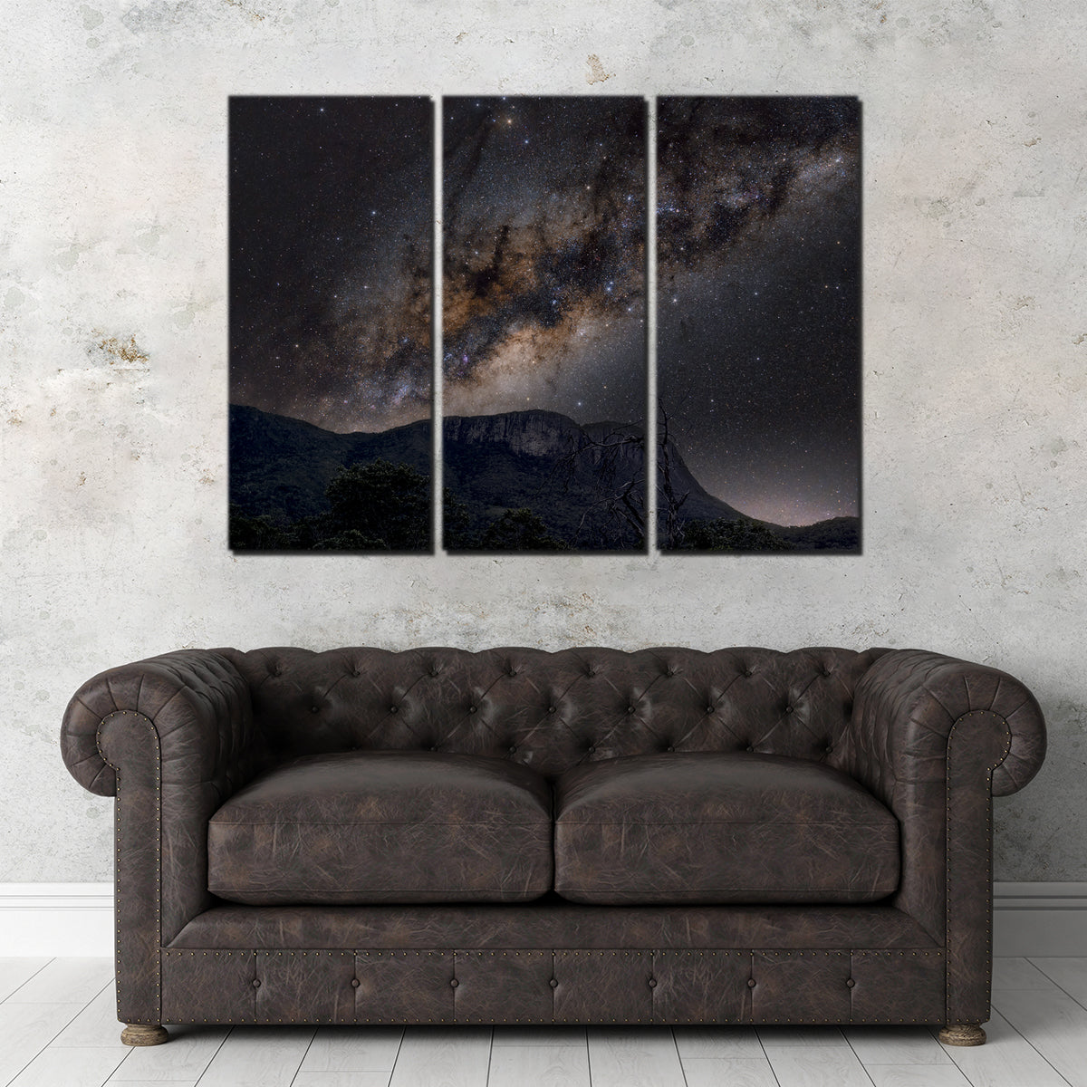 Milky Way over the Brazilian Cerrado Wall Art