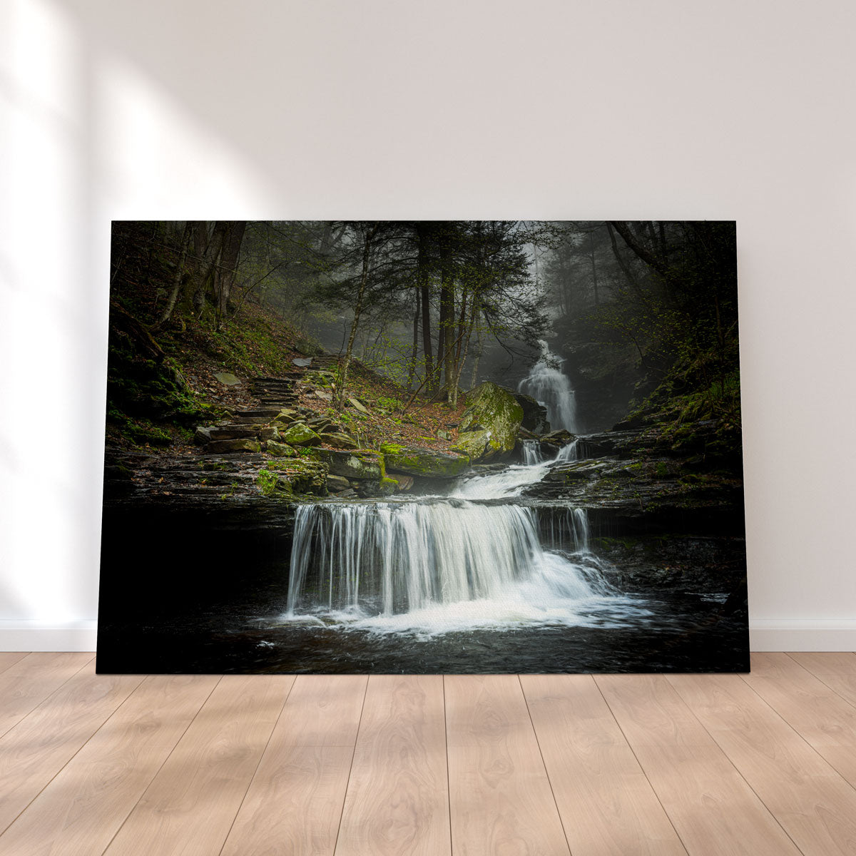 Misty Steps Wall Art