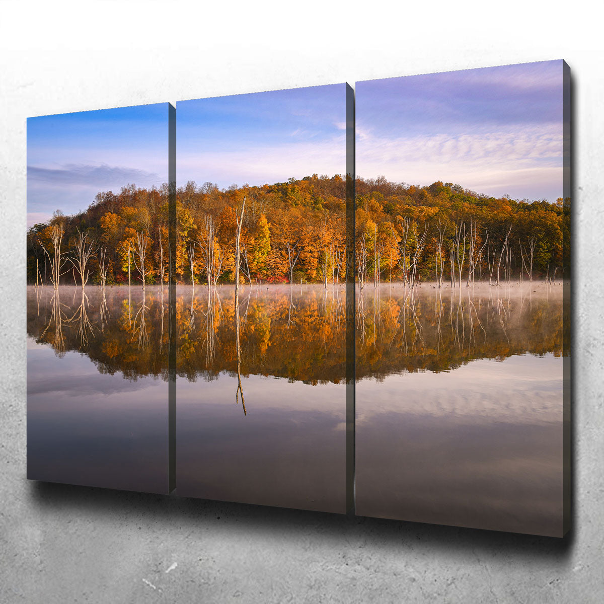 Monksville Mist Wall Art