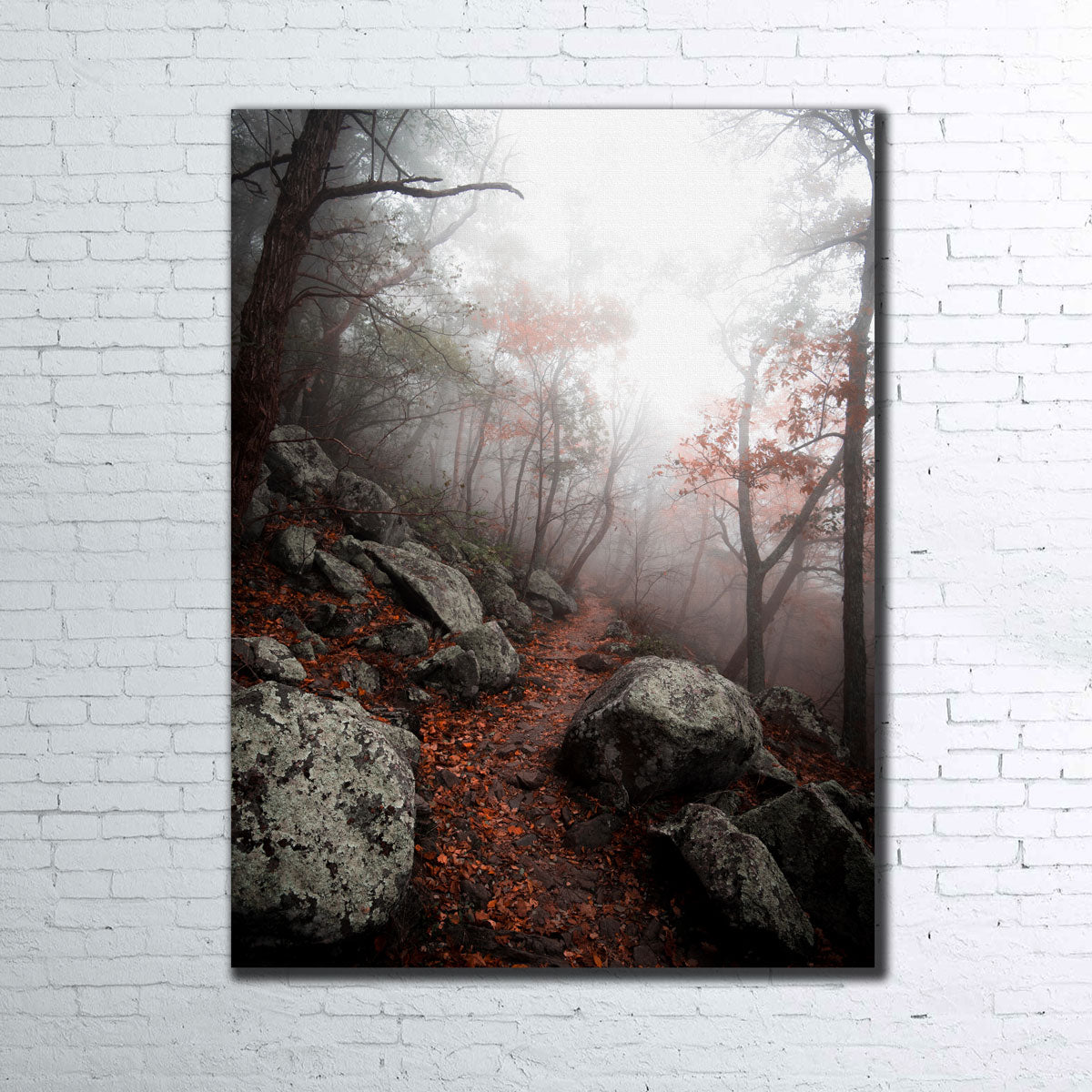 Moody Forest Wall Art