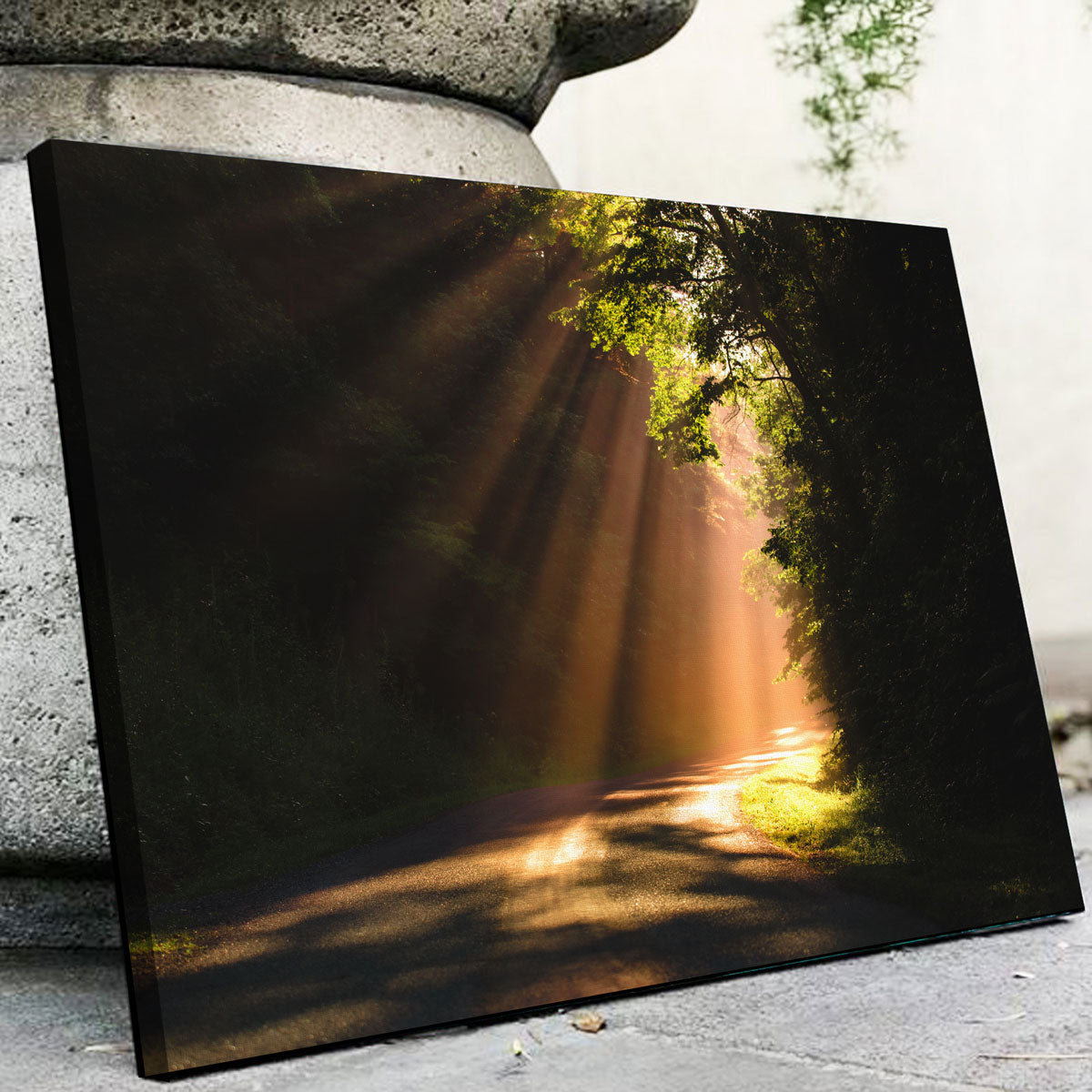 Morning Rays Wall Art