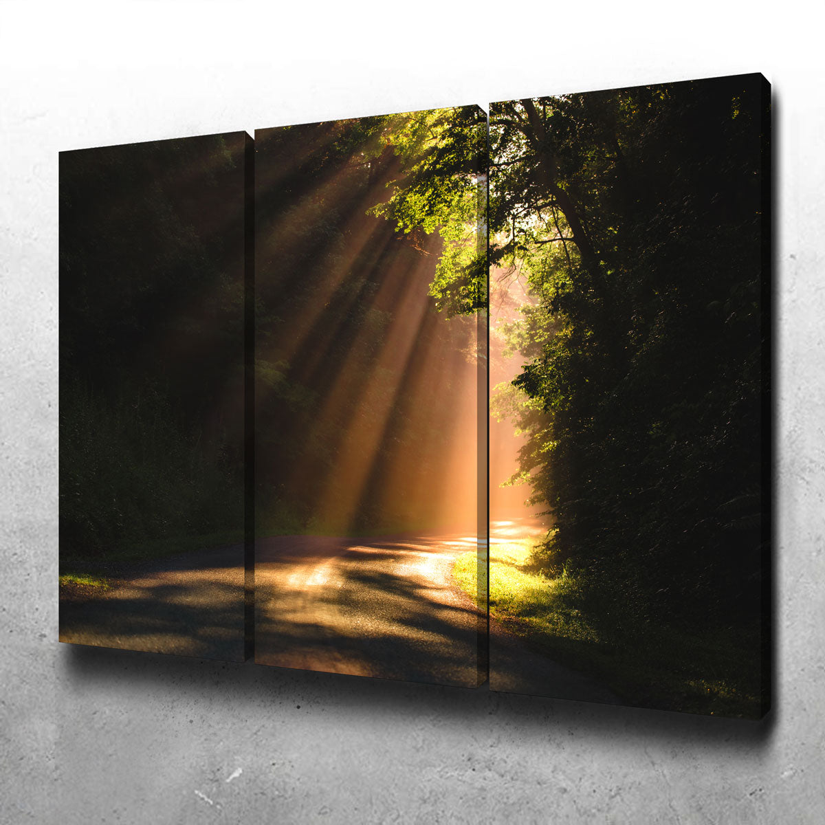 Morning Rays Wall Art