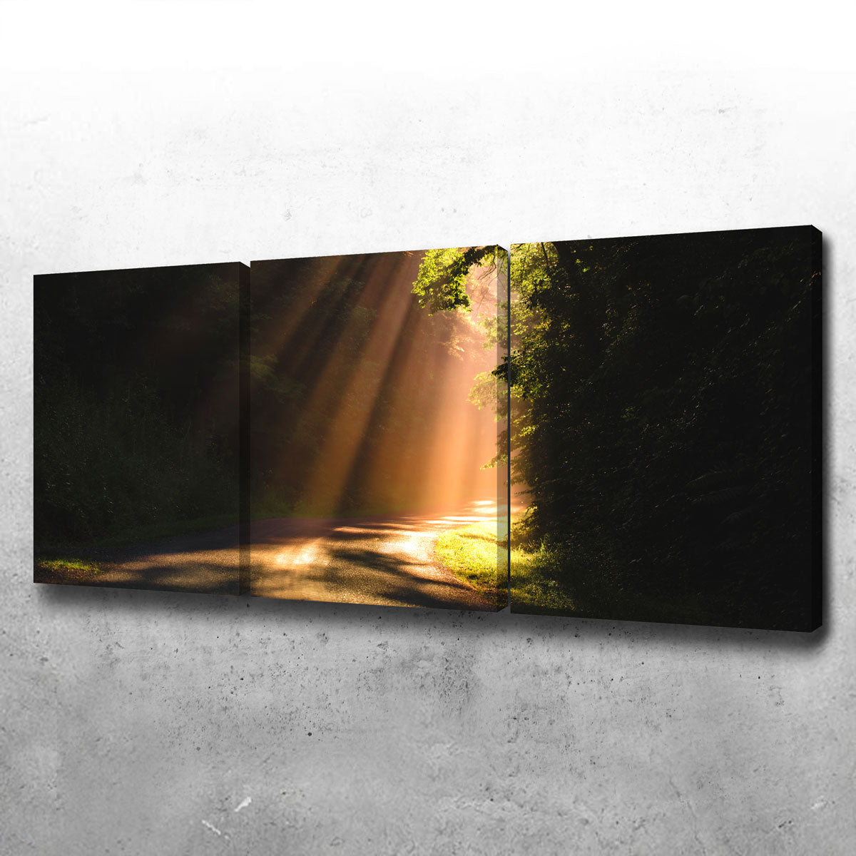 Morning Rays Wall Art