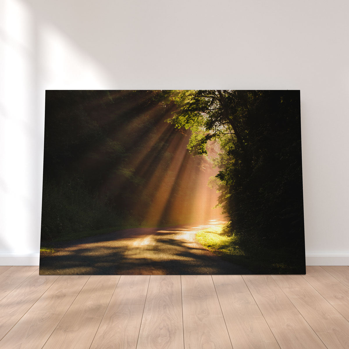 Morning Rays Wall Art