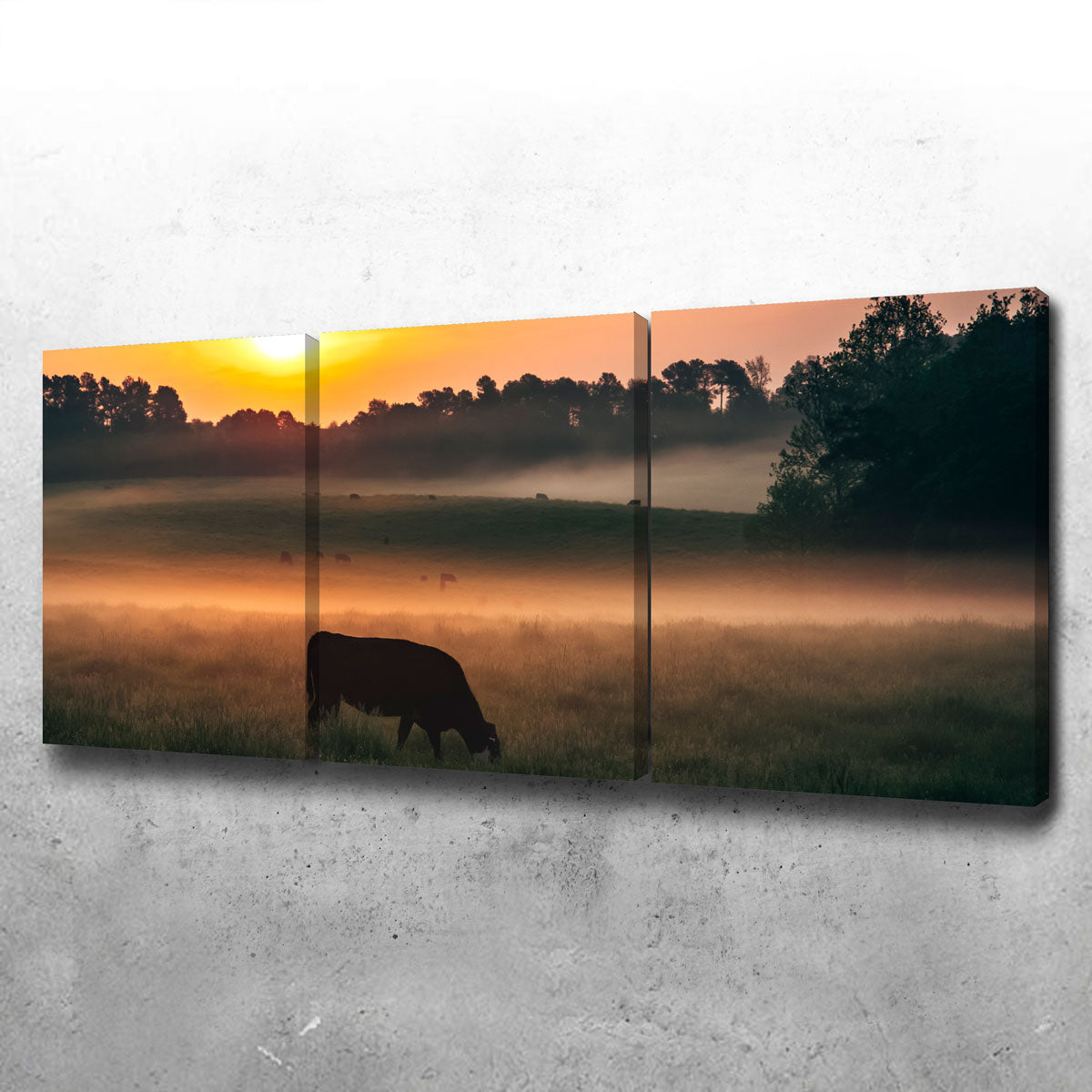 Morning Walks Wall Art