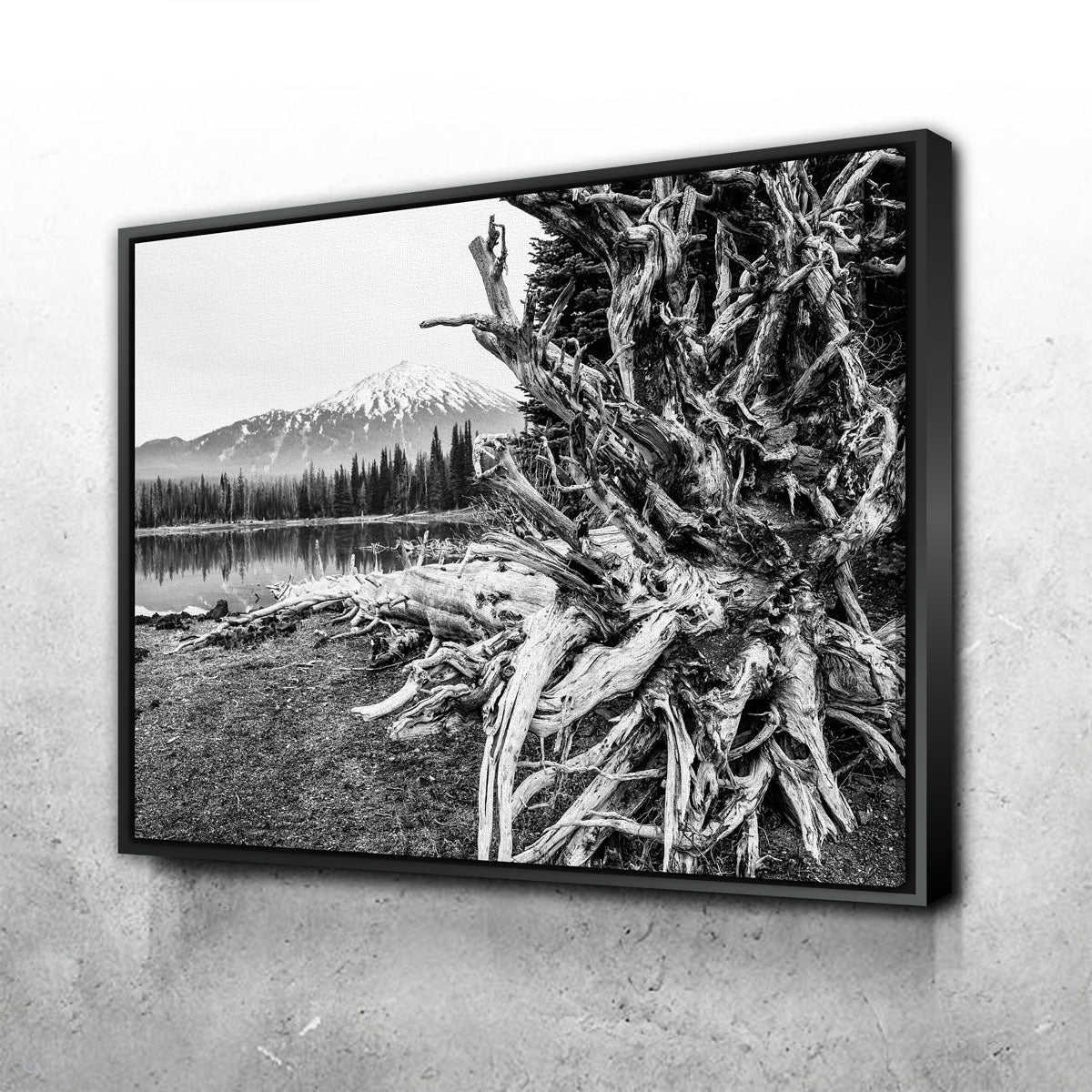Mt. Bachelor - Sparks Lake Wall Art