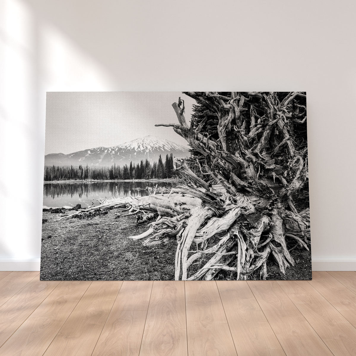 Mt. Bachelor - Sparks Lake Wall Art