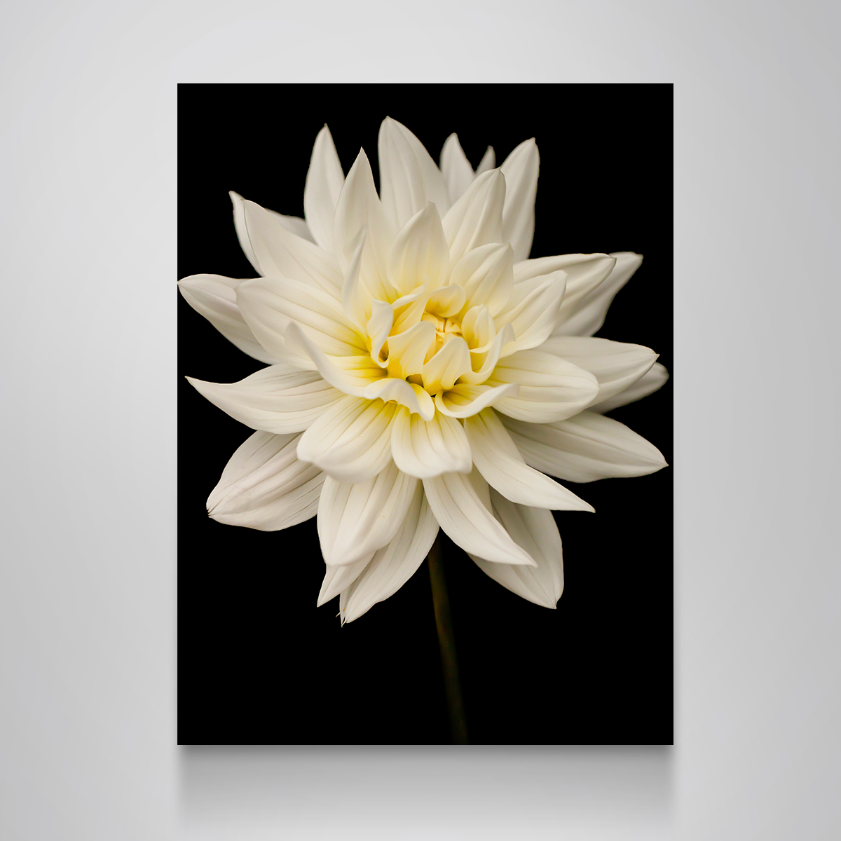 Nature Wall Art
