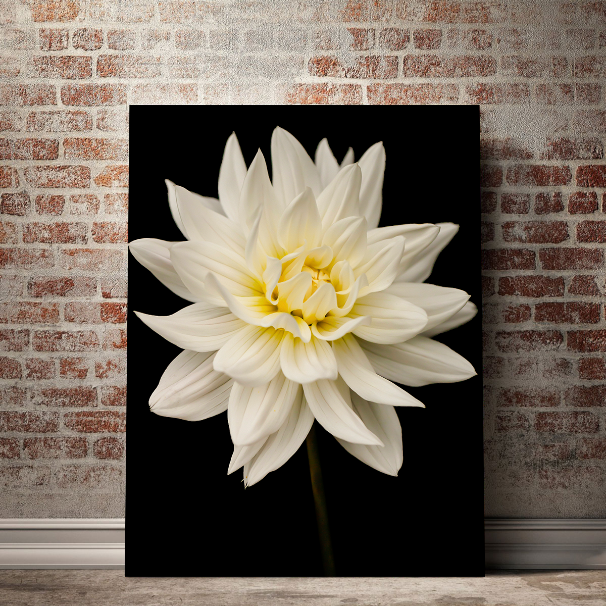 Nature Wall Art