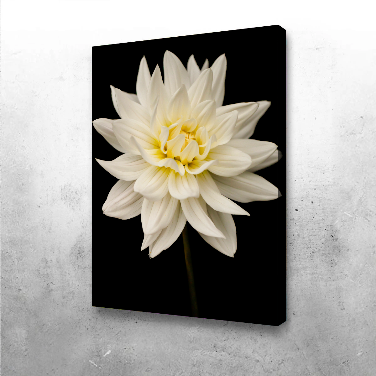 Nature Wall Art