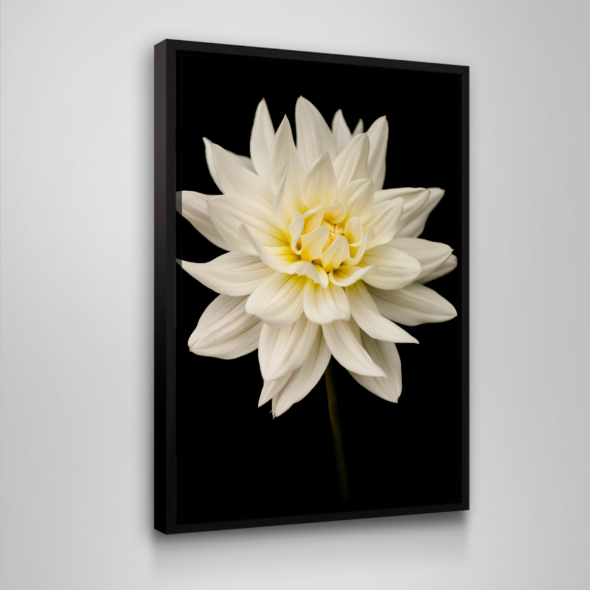 Nature Wall Art