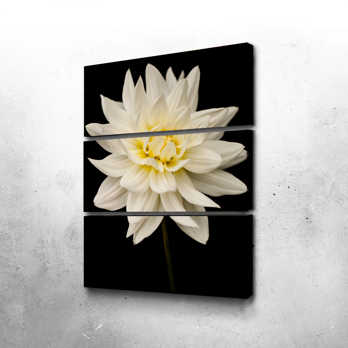 Nature Wall Art