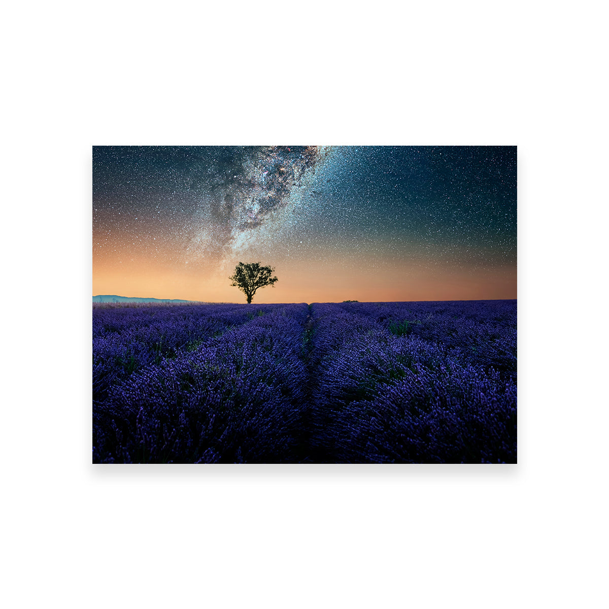 Night In Provence Wall Art