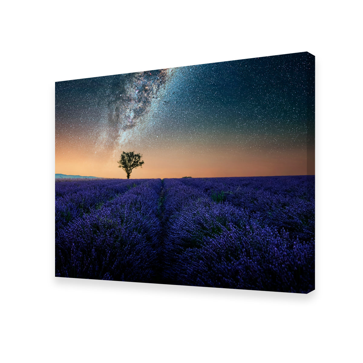 Night In Provence Wall Art
