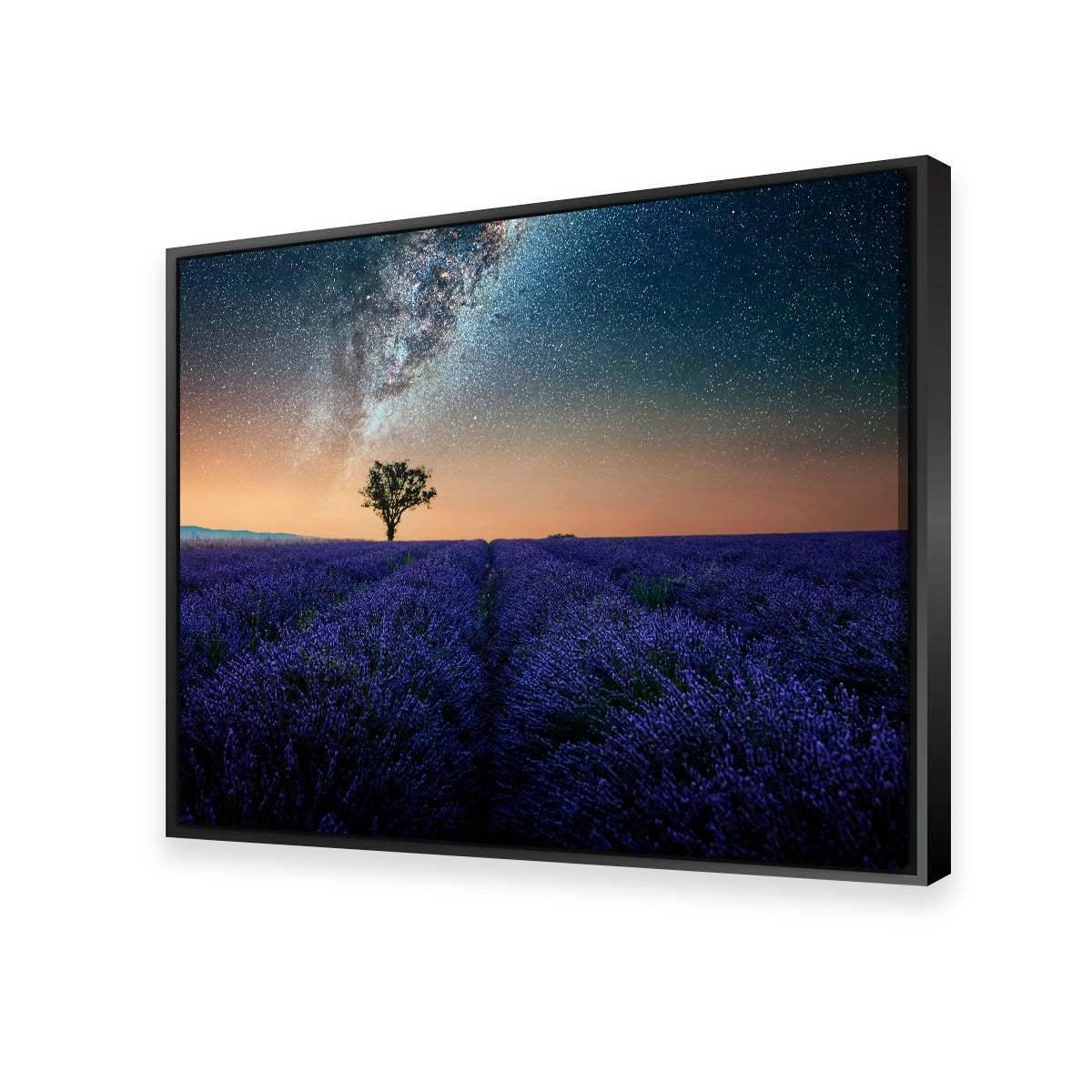 Night In Provence Wall Art