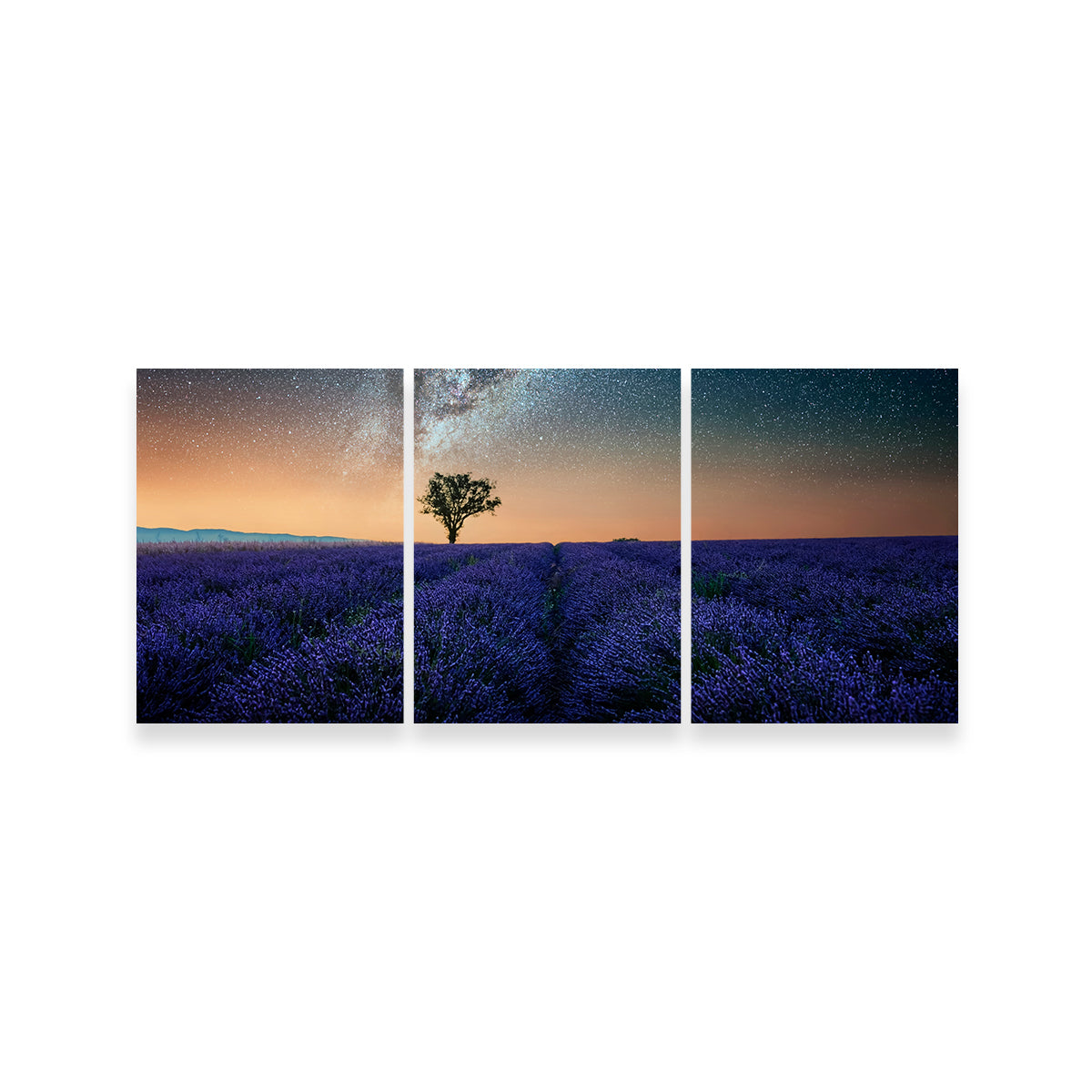 Night In Provence Wall Art