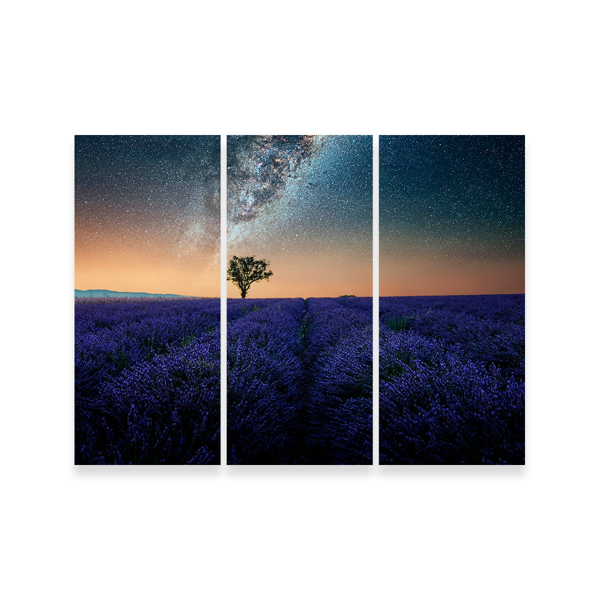 Night In Provence Wall Art