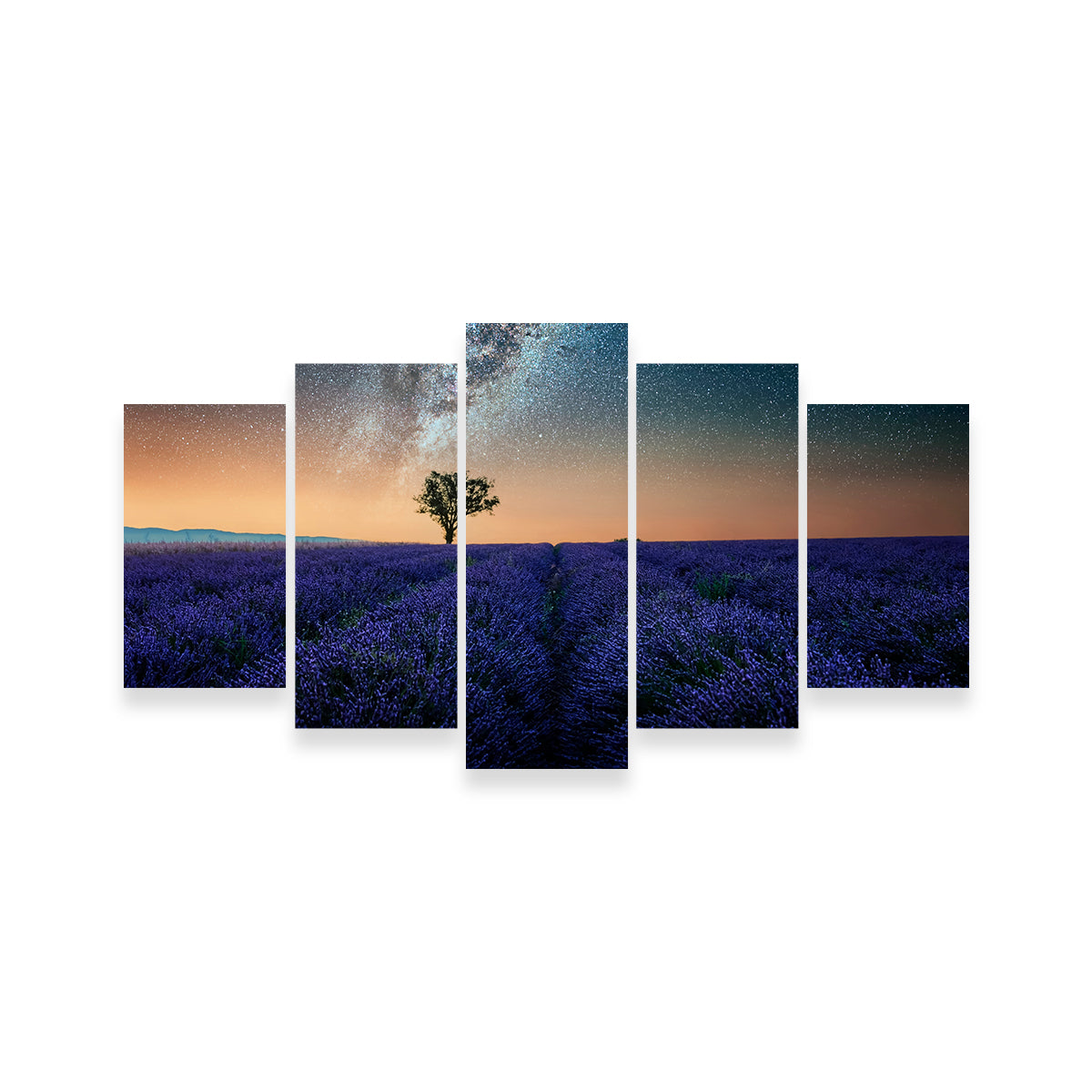Night In Provence Wall Art