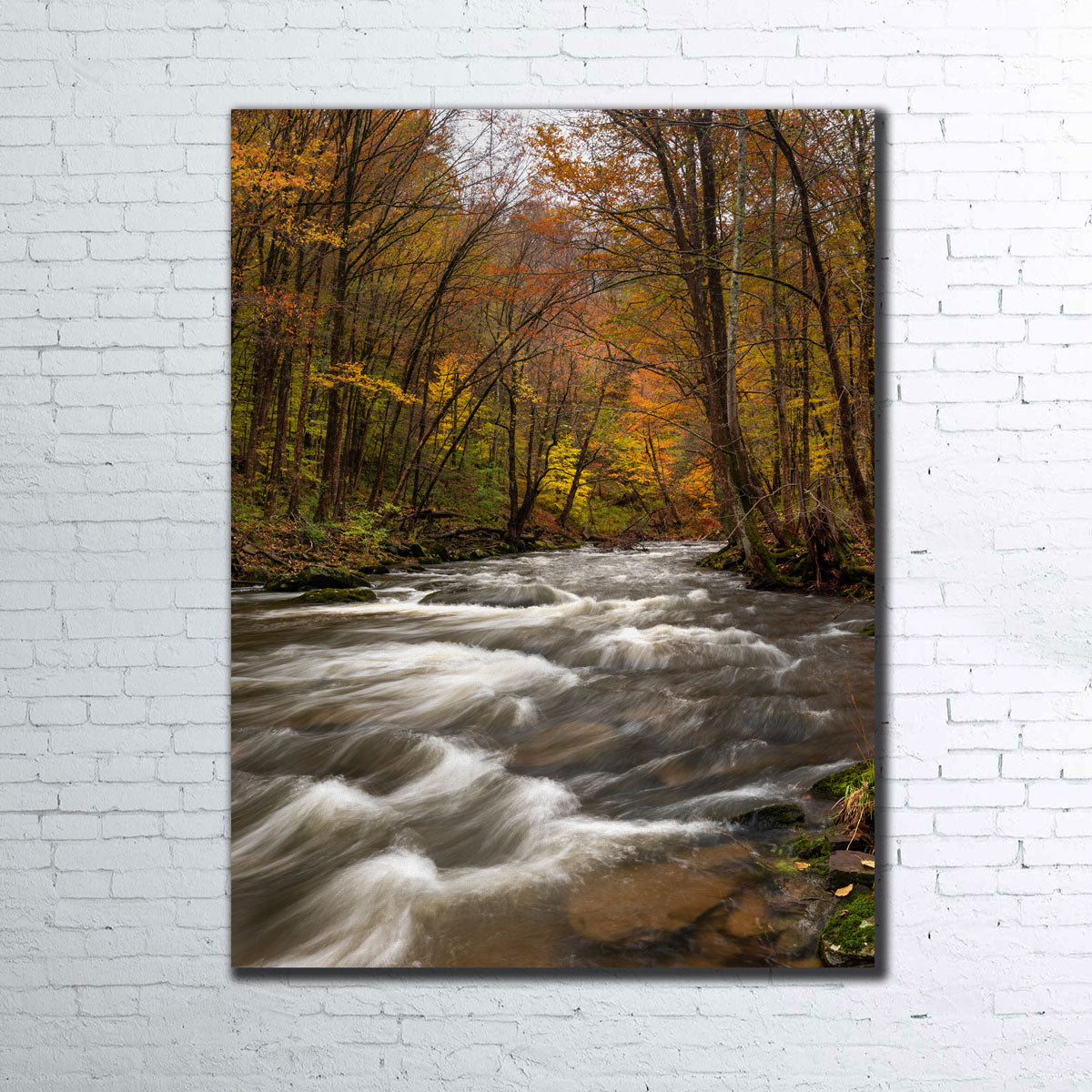 Tanner's River Wall Art