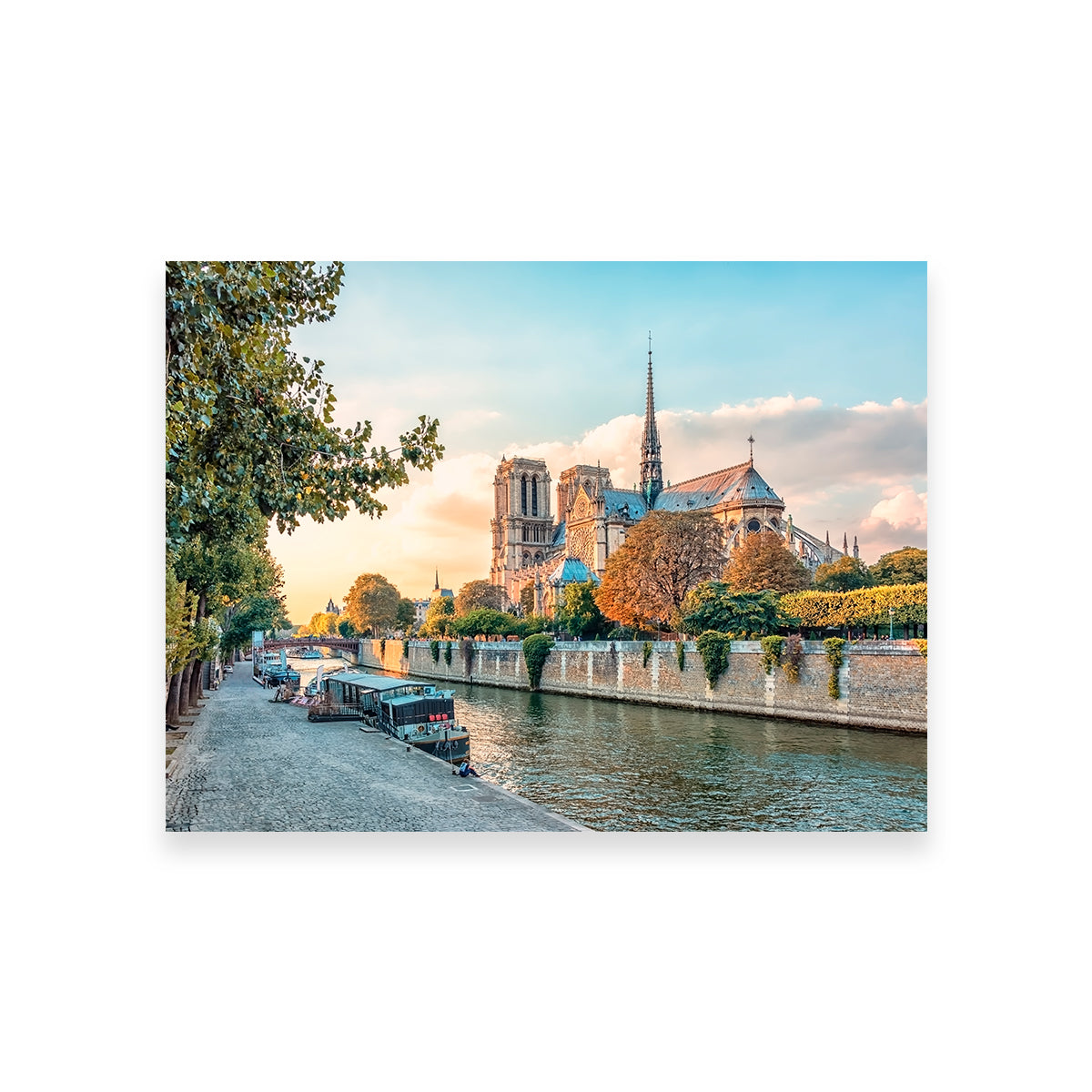 Notre Dame Wall Art