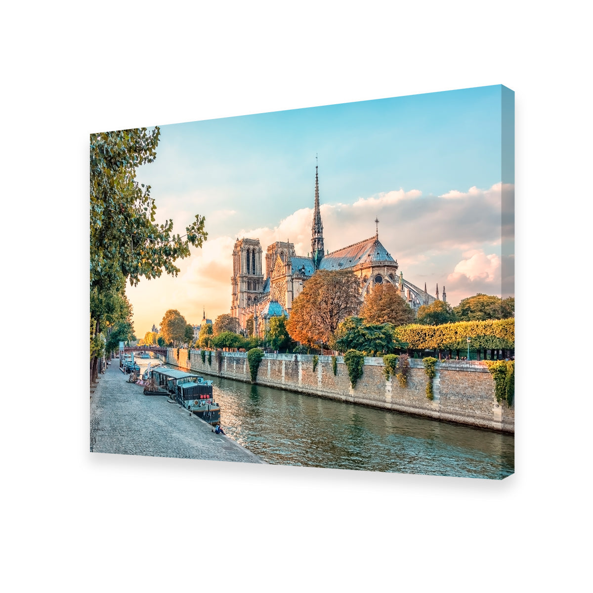 Notre Dame Wall Art