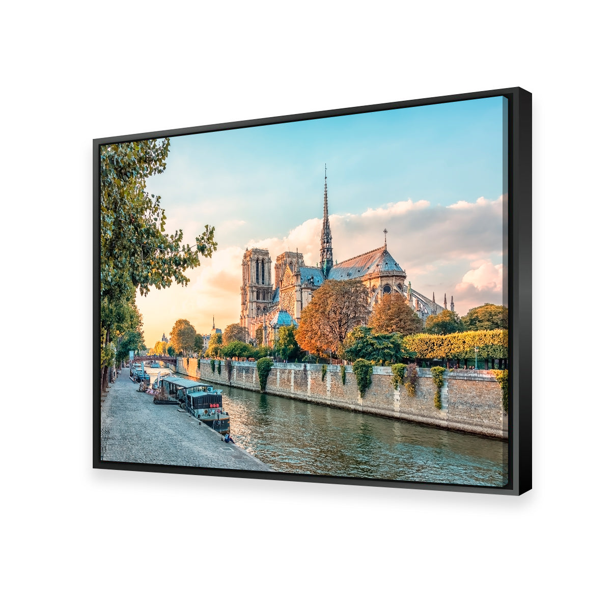 Notre Dame Wall Art