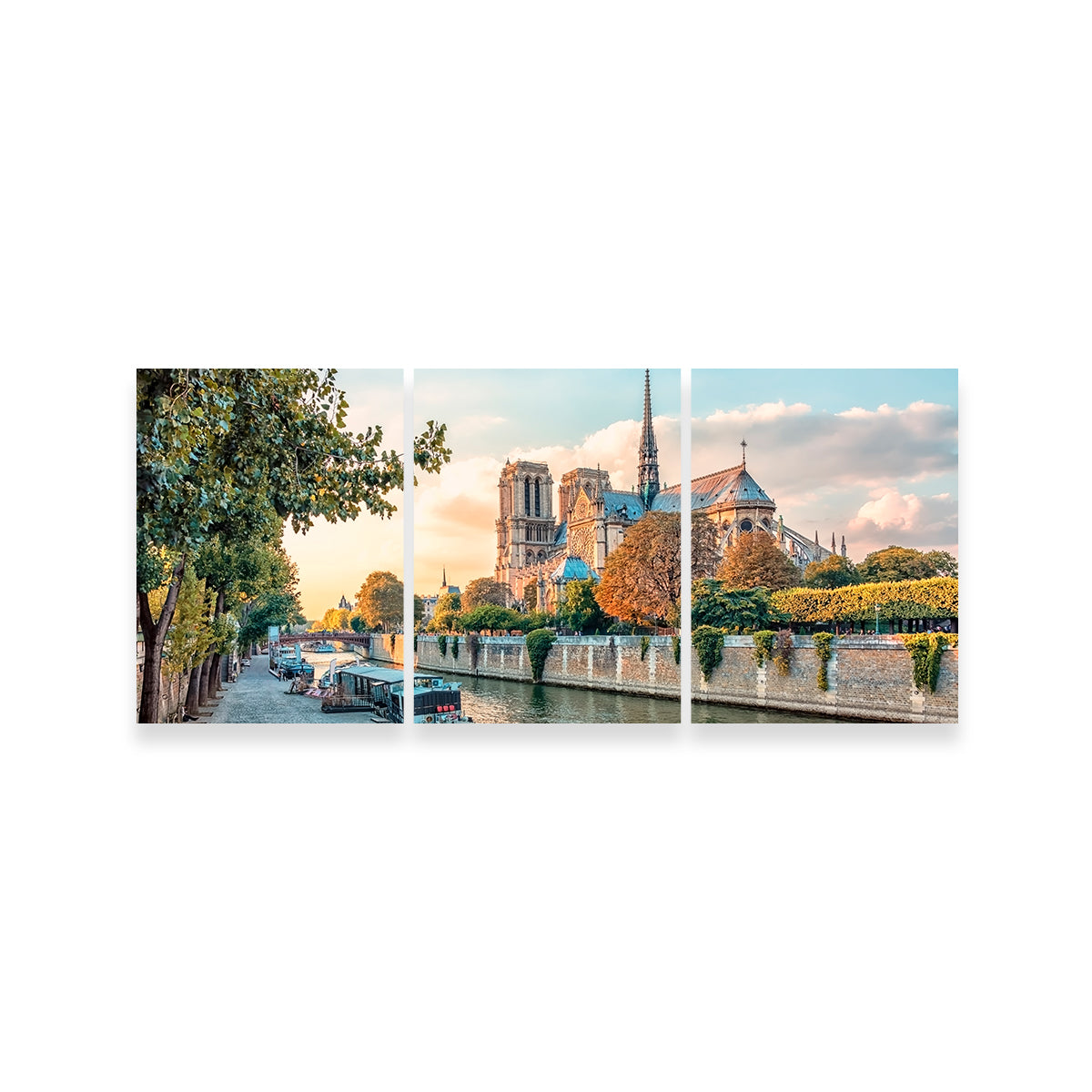 Notre Dame Wall Art